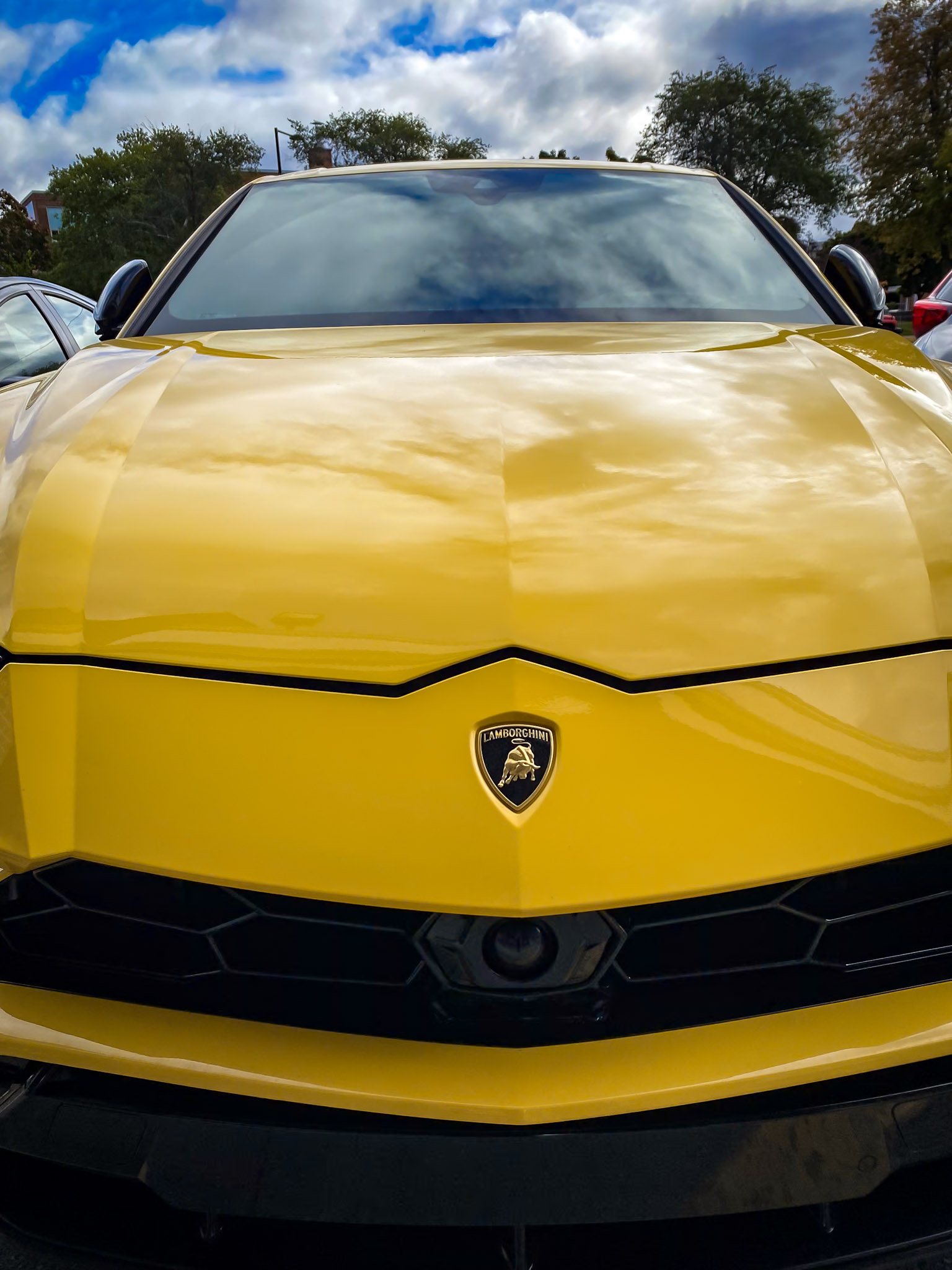 Urban life in motion