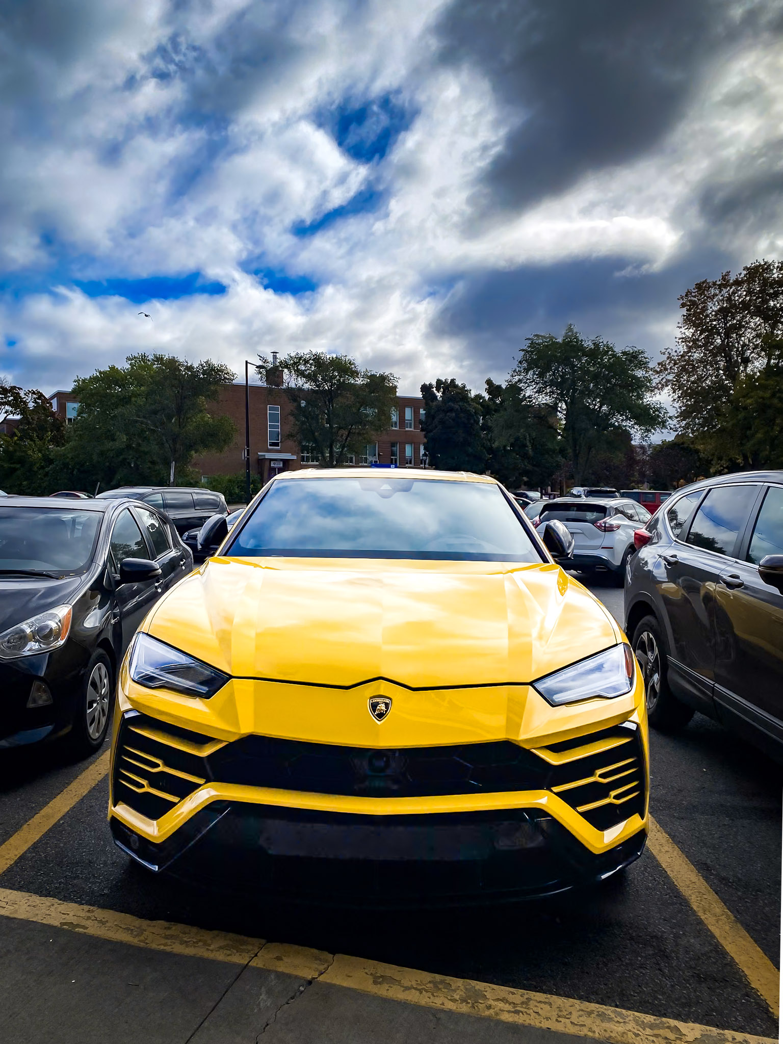 Candid moment on busy street