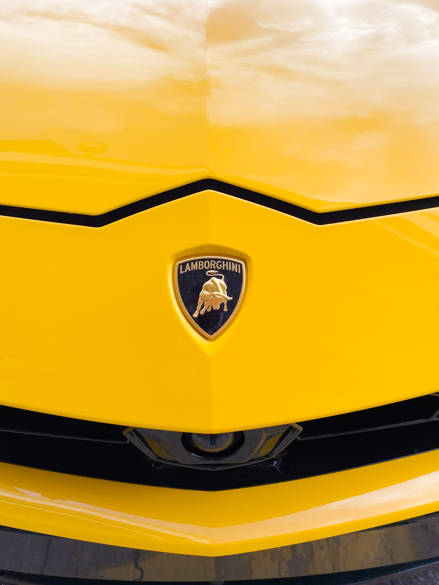 Urban culture capture